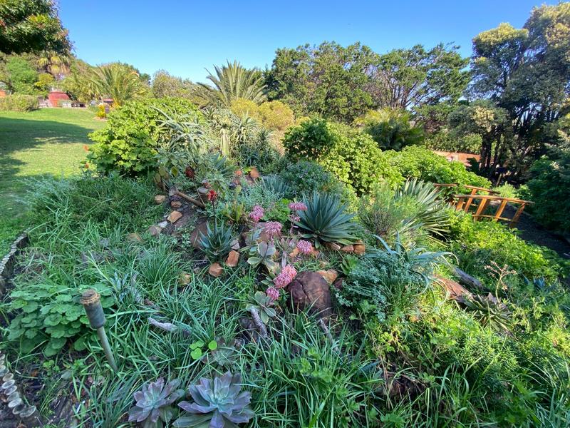 To Let 2 Bedroom Property for Rent in Crofters Valley Western Cape